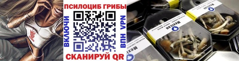 Псилоцибиновые грибы Psilocybe  Купить где  Буинск 
